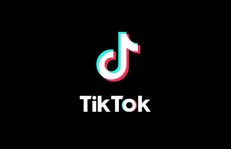 AB,TIKTOK'A DUR DİYEBİLECEK'MI 